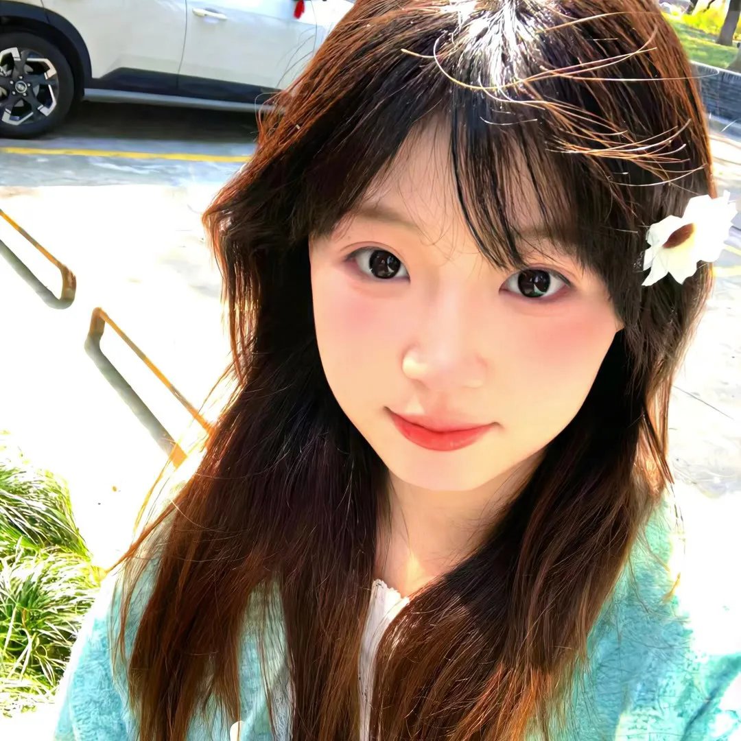 白鹭谣